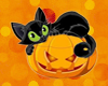 ~Nx~ Halloween Cat 2