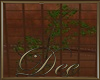 Boho Vines