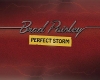 - Perfect Strom Brad Pai