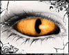𝓐. Serpent ⚤ Ember