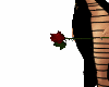 una rosa de amor 