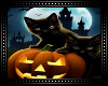 🎃 Halloween Cats BG