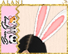 #BRG Bunny Ears