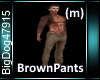 [BD]BrownPants