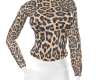 Turtle Neck Sweater
