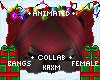 ꨄKrampus Bangsꨄ