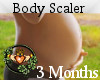 Pregnancy Body Scaler