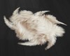 FA:▣ White Fur Rug