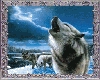 Howling Wolf gif.