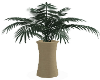 Palm in Beige Vase