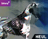 NHC - ODP26 Horse Hachi