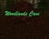 Woodlands Cave