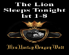 Lion Sleeps Tonight