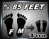 85%  Feet  Scaler F/M