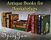 Antique Books for Shelf