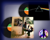 2-in-1 LP (Pink Floyd)