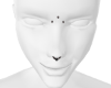 TerSeptum