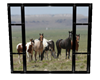 Horses View Window
