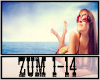 Zumba Latino Mix
