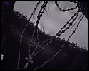 \/ Extra Strand