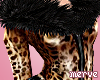 M~ -Leopard grain