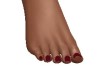 Burgundy ToeNails