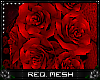 !VR! Hip Roses