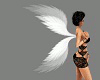 SL Angel Wings Beauty 2