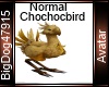 [BD] NormalChochocbird