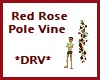 *DRV* Red Rose Pole Vine