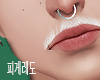 育 Bigodin Nevou II