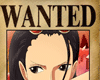 NICO - wanted
