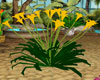 tropical plant 8