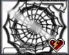 S token spiderweb