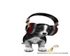 Puppy Radio