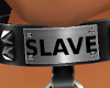 *cp*Slave Collar M/F