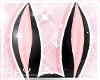 [Anim] Bunny Cutie [1]