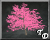 *T Pink Sakura Tree