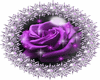 Purple Rose Gif