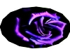 purple rose radip