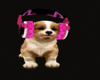 CAO DJ