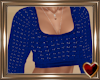 Ⓣ Blue Sweater