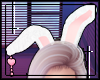 † bunny ears