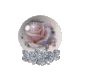 Small Rose Globe