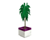 -ND- Purple white Plant 