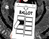 The ballot  F