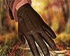 MIDO Autumn Gloves