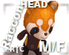 R|C Raccoon Head M/F