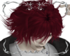 ✧･ﾟZOLDYCK Red