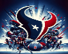 Texans Profile